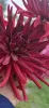 Profile picture for user Christiane Henke